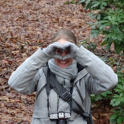 mezelf studiobenelux studiostien