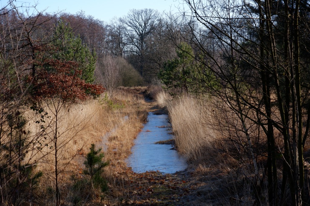 Benelux België Kempen Natuur beek vennen wandelen wandelroute