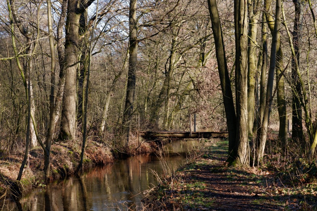 Benelux België Kempen rivier wandelen wandelroute 
