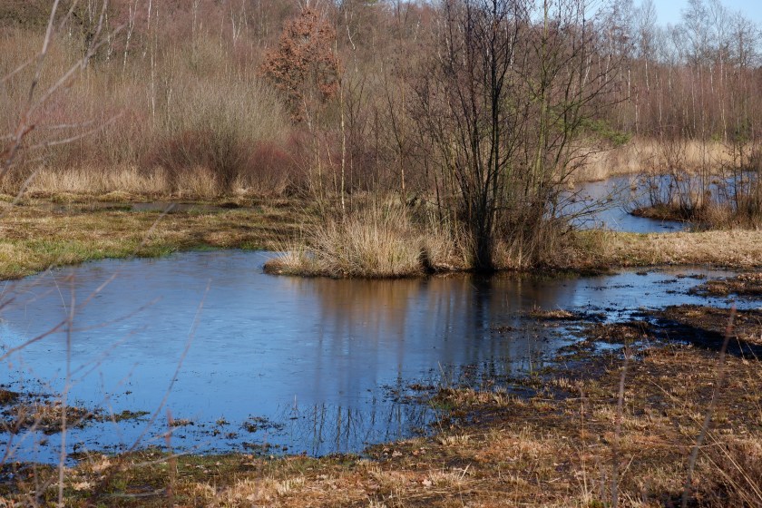 Benelux België Kempen meer natuur wandeling wandelen wandelroute