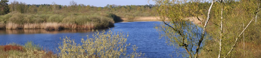 België Natuurgebied De Liereman Oud-Turnhout 