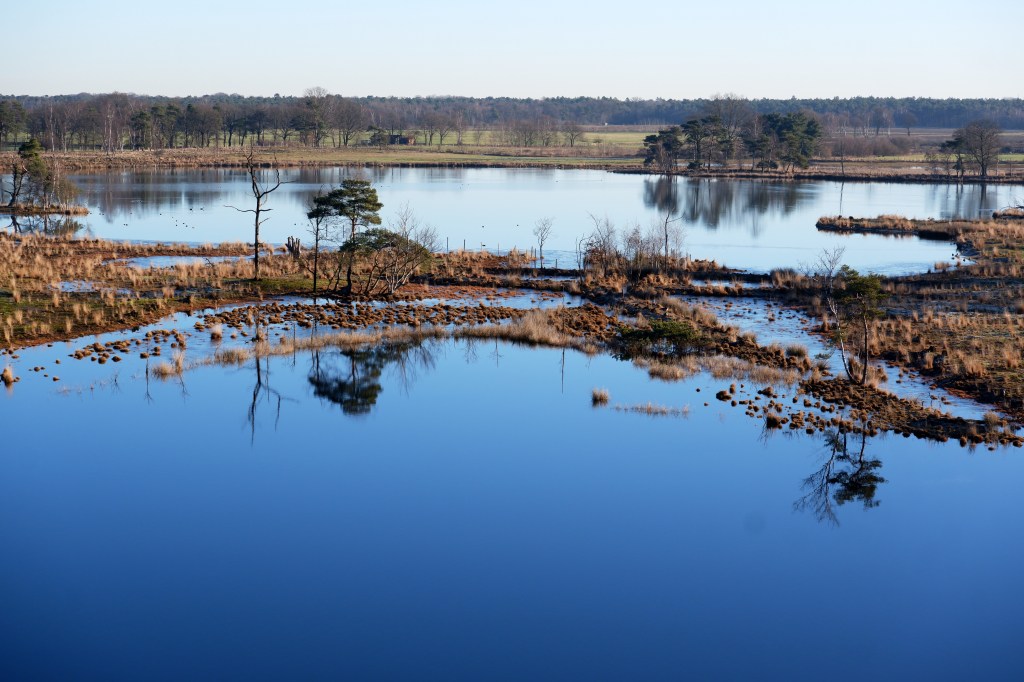 België Kempen Vennengebied Turnhout 
Uitkijktoren Natuurgebied 