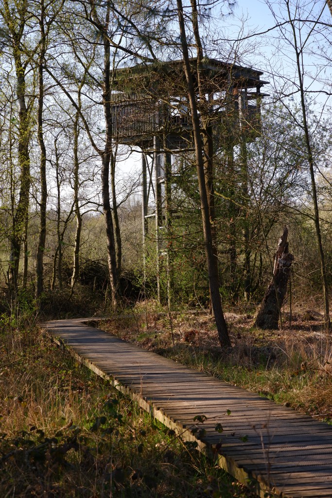 België Uitkijktoren Kempen Oud-Turnhout Liereman