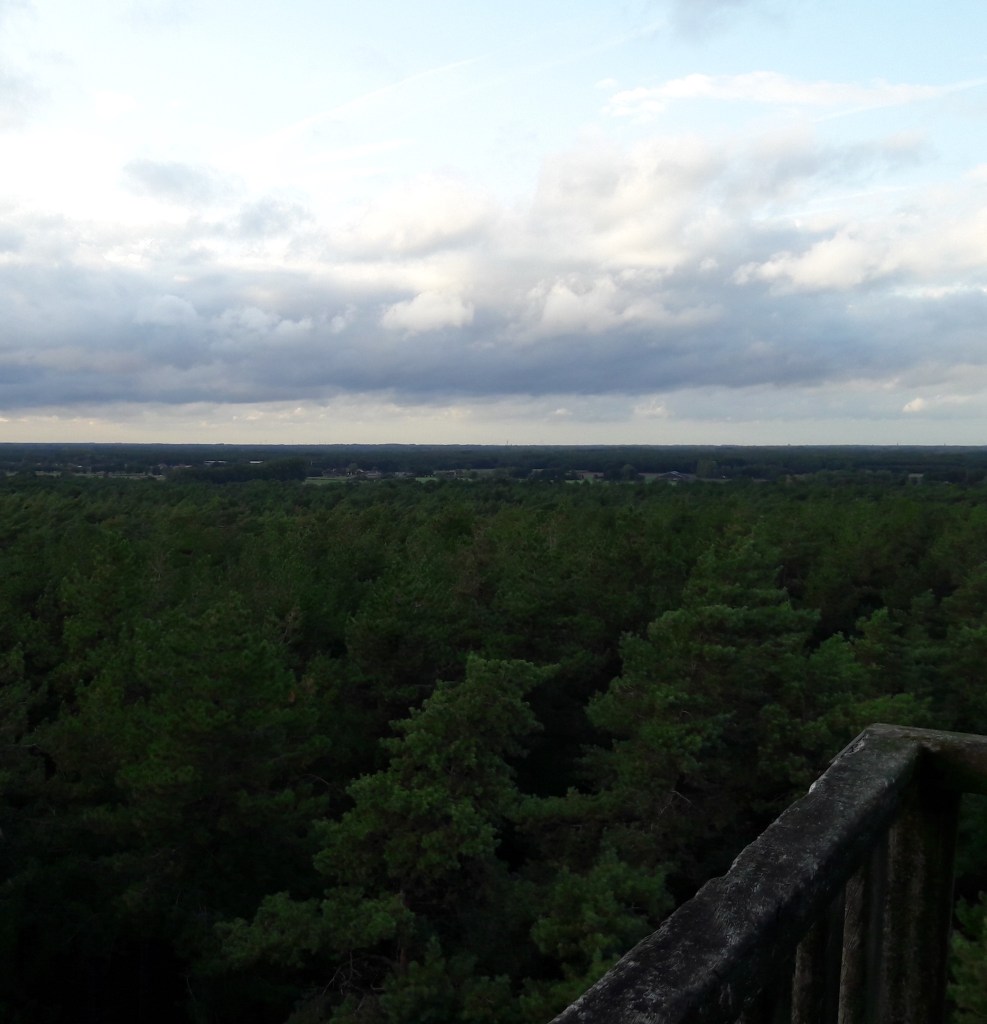 Toeristentoren Herentals uitkijktoren Kempen België 