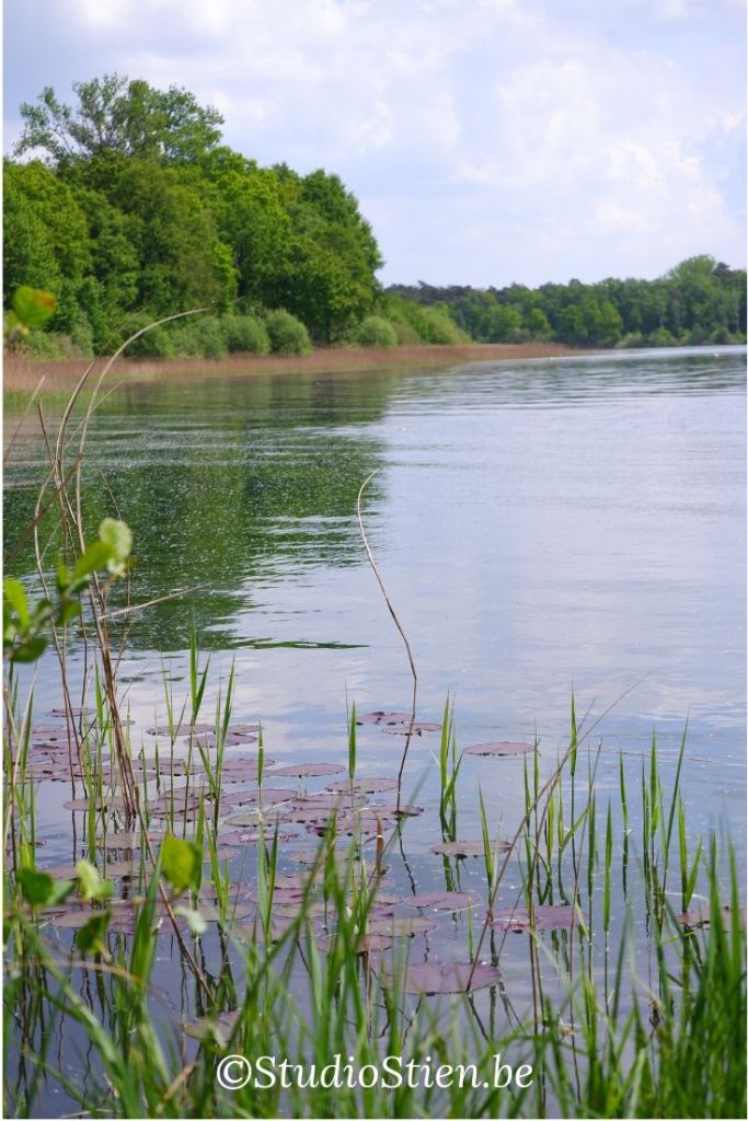 Wandelen Mellevijver Turnhout Benelux België Vlaanderen natuurwandeling 