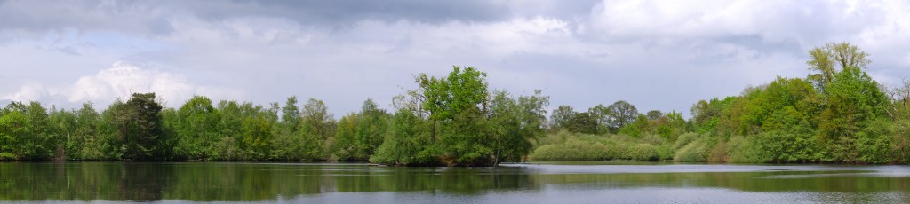 Panoramafoto Vijver Bos 