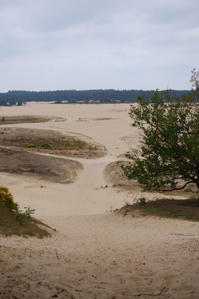 Wandelen Nederland nationaal park duinen Noord-Brabant