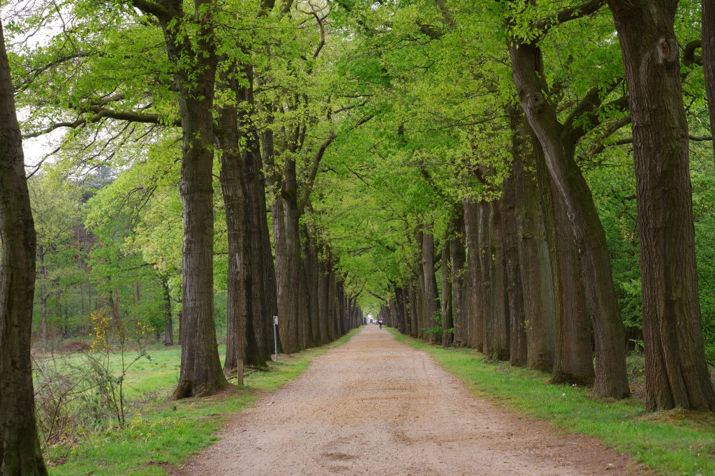 kolonie wortel weldadigheid armoedebestrijding wandelen wandeling natuur België 
