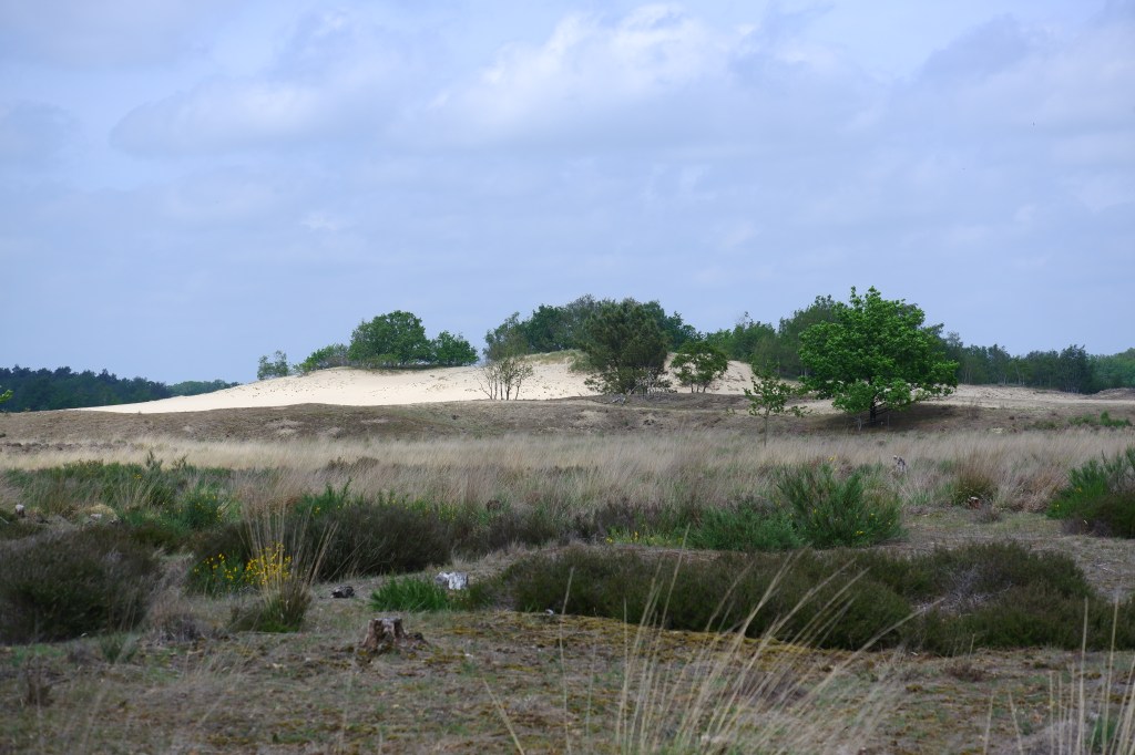 Wandelen Nederland nationaal park duinen Noord-Brabant