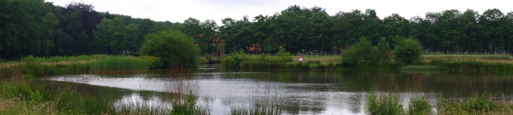 vijver Giels Bos wandelroute Gierle 