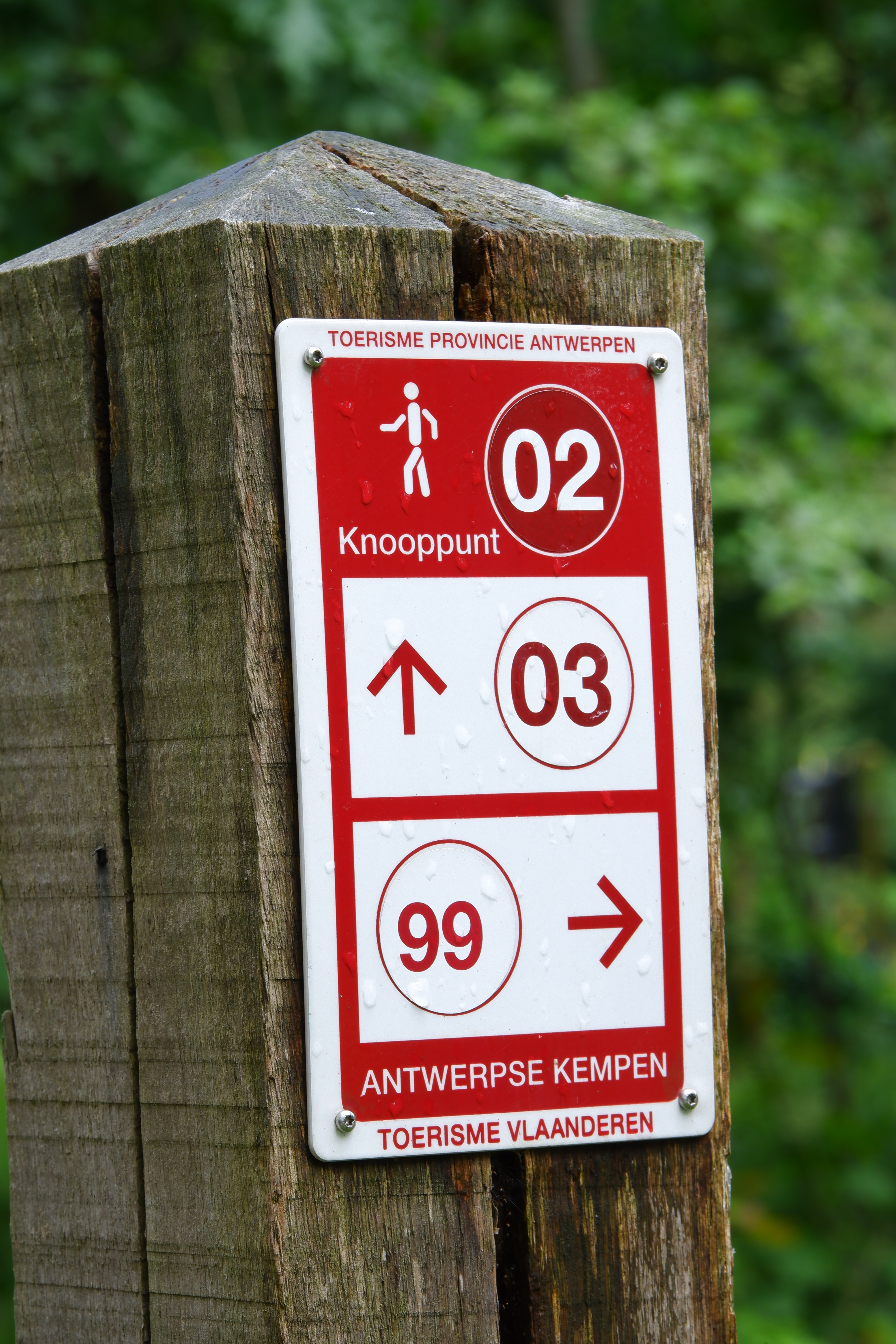 wandelknooppunt wandelroute wandeling natuurwandeling