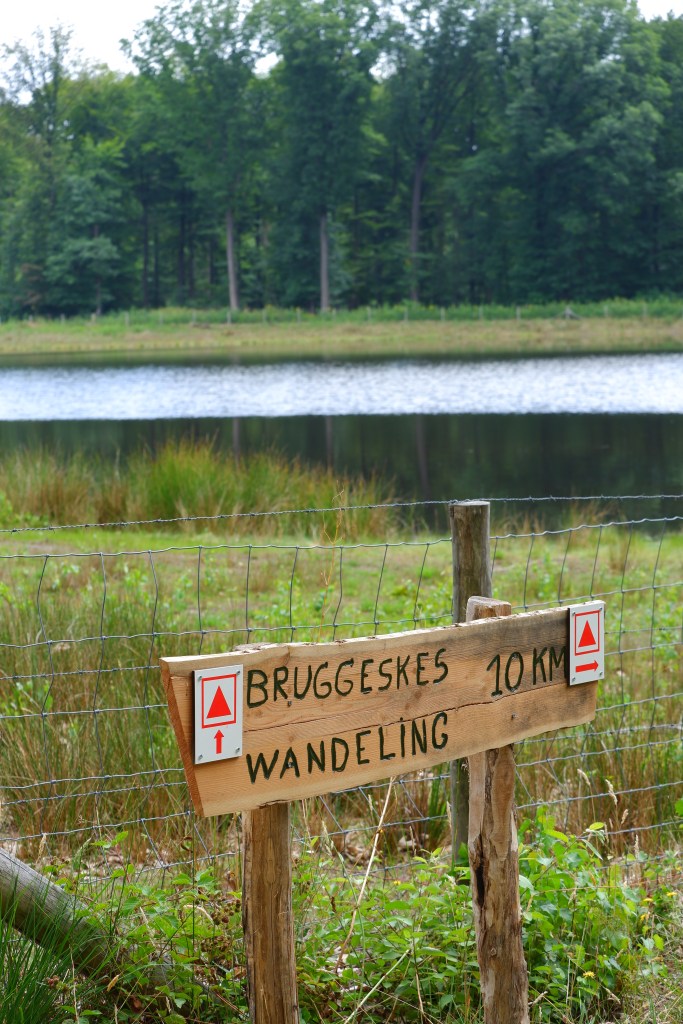 wandelroute wandelknooppunt knooppunt ravelse gewestbossen natuurgebied vijver bruggeskeswandeling