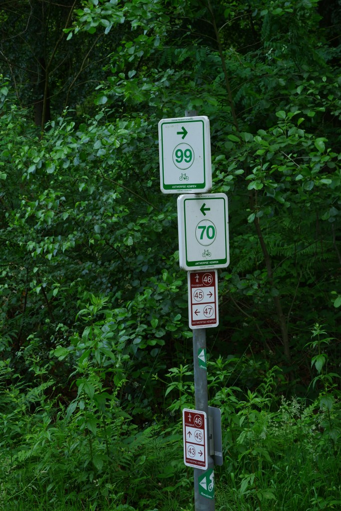 wandeling grotenhoutbos Vosselaar wandelknooppunt wandelroute fietsknooppunt