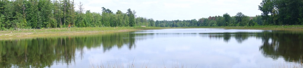 wandelroute wandelknooppunt knooppunt ravelse gewestbossen natuurgebied vijver