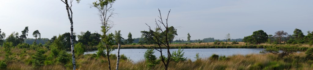Vennengebied Turnhout wandelroute natuurreservaat natuurgebied