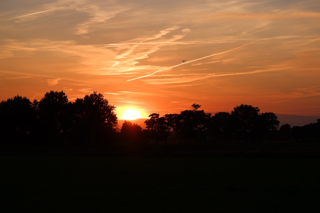 Vennengebied Turnhout wandelroute natuurreservaat natuurgebied zonsondergang