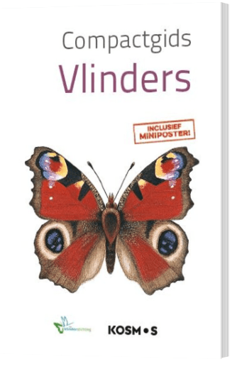 Compactgids vlinders herkennen