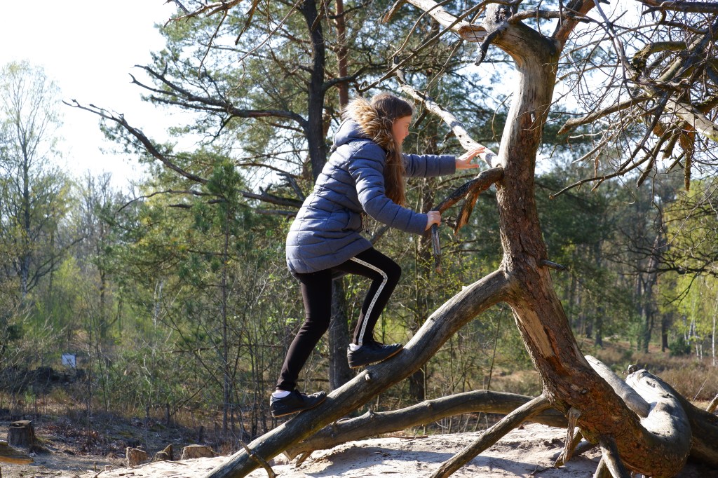 natuurdomein wandelen wandelroute knooppunten fietsen liereman kempen heide paardrijden speelbos