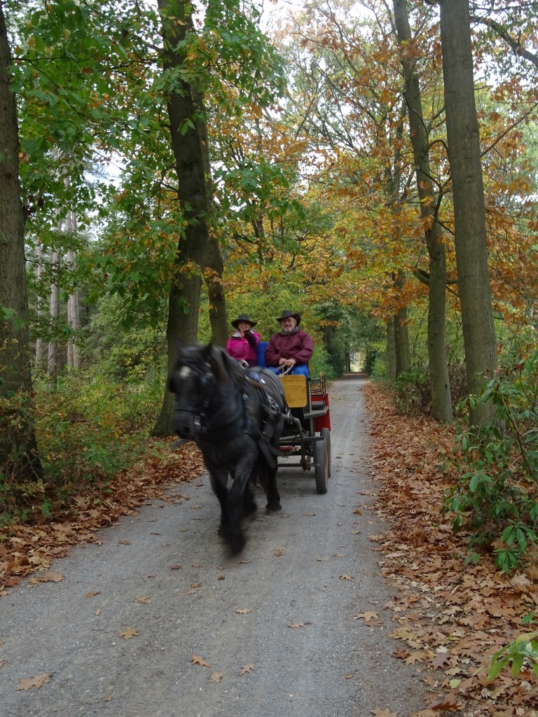 mennen menroute koets paarden paardrijden 
