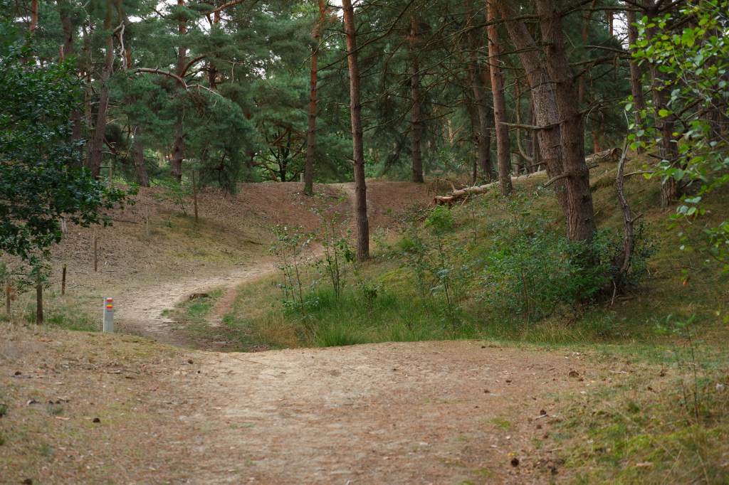 hoge rielen natuurdomein jeugdverblijf kamp kamperen wandelen wandelroute heuvelachtig