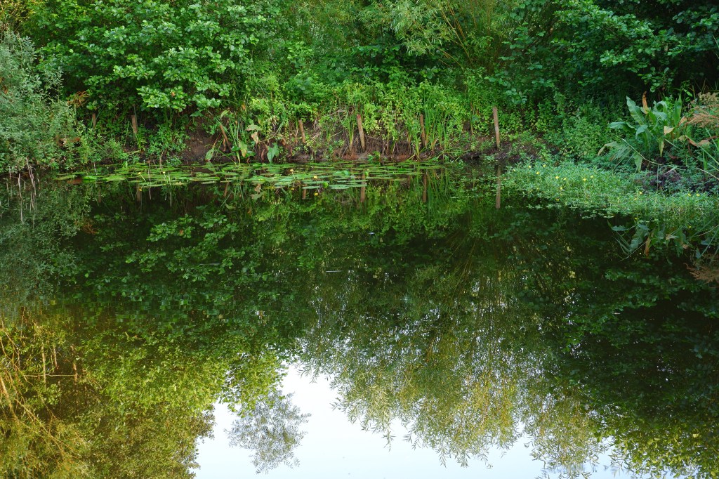 hoge rielen natuurdomein jeugdverblijf kamp kamperen wandelen wandelroute vijver 
