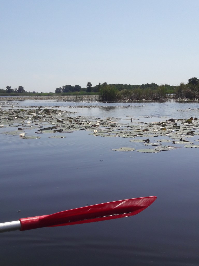 kano varen weerribben wieden nationaal park belt-schutsloot kanoën kano boot varen vijver meer 