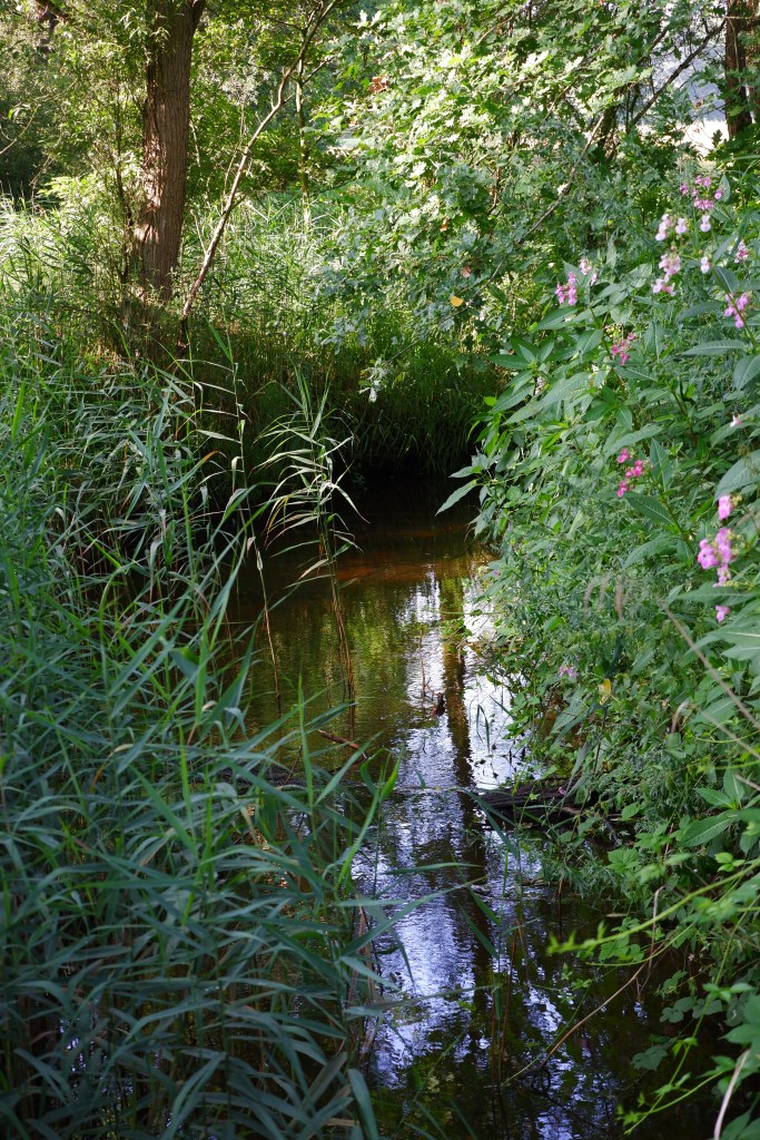 wandelen natuurwandeling wandelroute kolonie Wortel wandelknooppunt fietsknooppunt Merkske