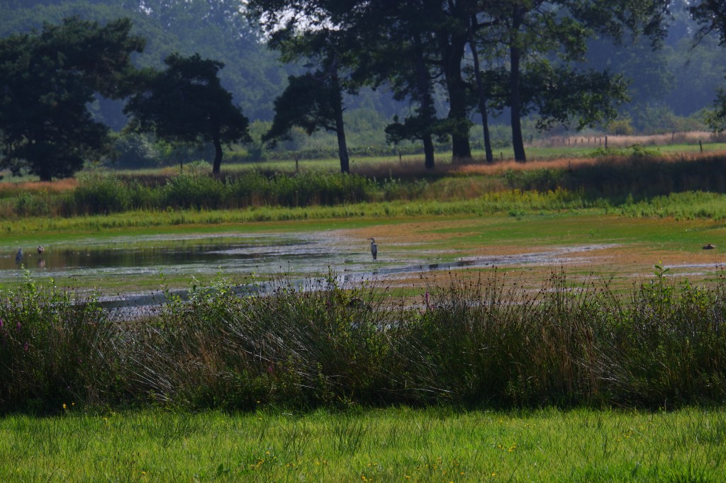 wandelen natuurwandeling wandelroute kolonie Wortel wandelknooppunt fietsknooppunt 