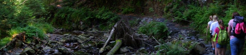 wandelen wandelroute starten wandelaar stappenplan wandeling 