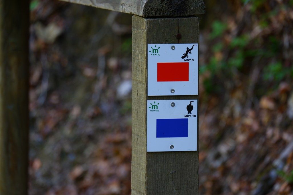 wandelen wandeling natuurwandeling wandelroute Wallonië Benelux Oostkantons 