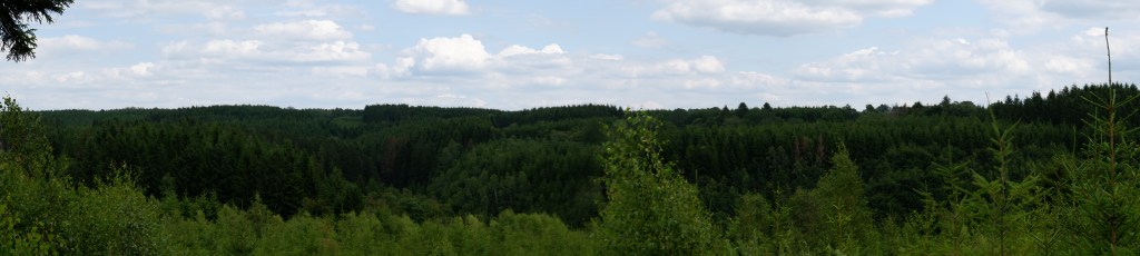 wandelen wandeling natuurwandeling wandelroute Wallonië Benelux Oostkantons 