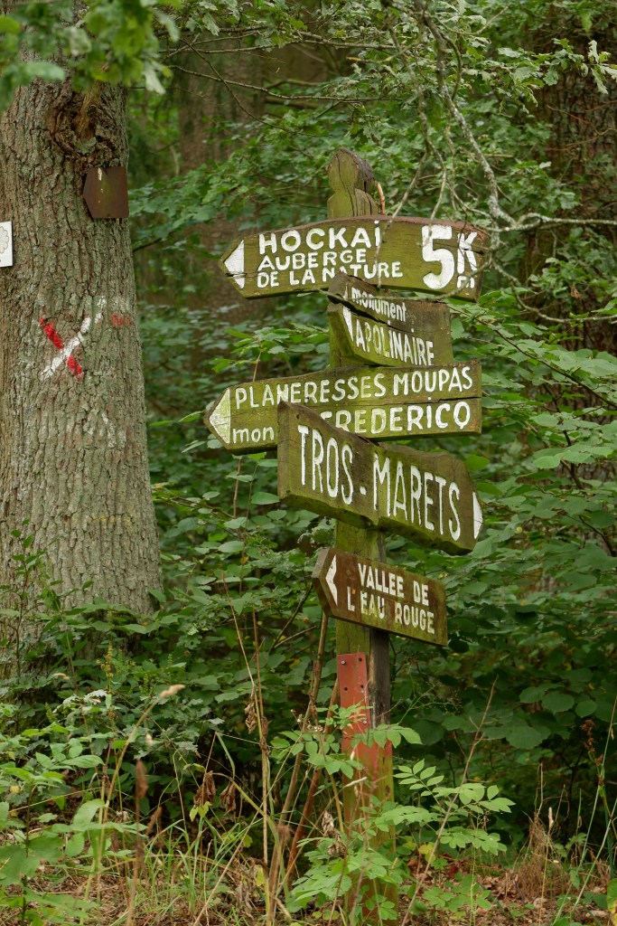 wandelen wandeling natuurwandeling wandelroute Wallonië Benelux Oostkantons 