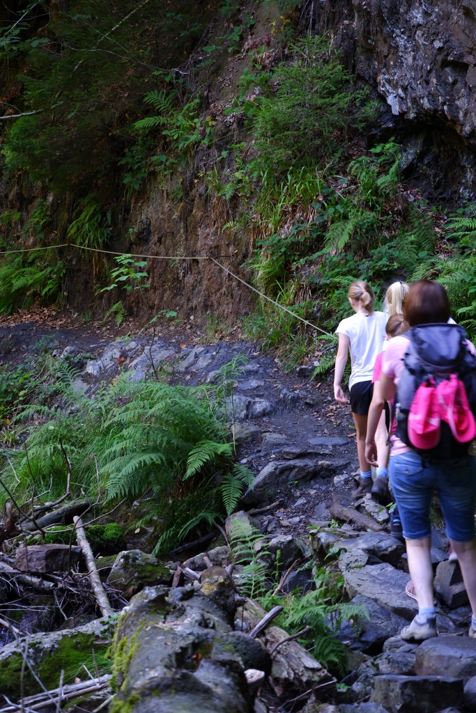 wandelen wandeling natuurwandeling wandelroute Wallonië Benelux oostkantons