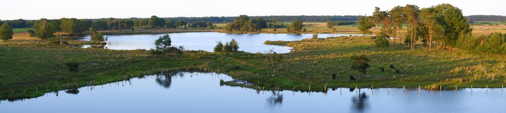 wandelen fietsen uitkijktoren Vennengebied Turnhout 