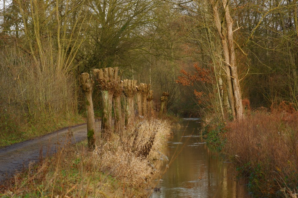 Balderij Tielen Kasterlee  hoge rielen natuurdomein jeugdverblijf kamp kamperen wandelen wandelroute heuvelachtig  