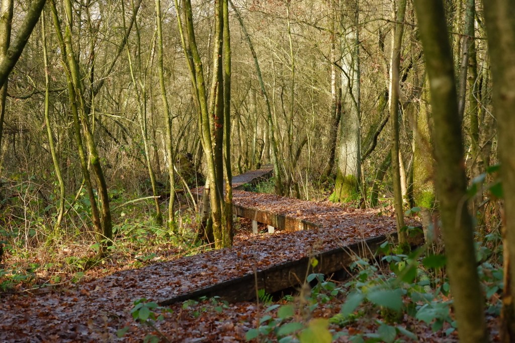 Balderij Tielen Kasterlee  hoge rielen natuurdomein jeugdverblijf kamp kamperen wandelen wandelroute heuvelachtig  