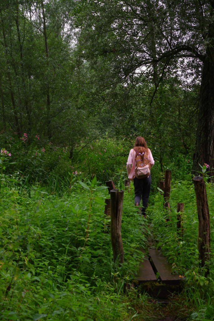 recept wandeling wandeluitrusting voorbereiding natuurwandeling weerbericht 