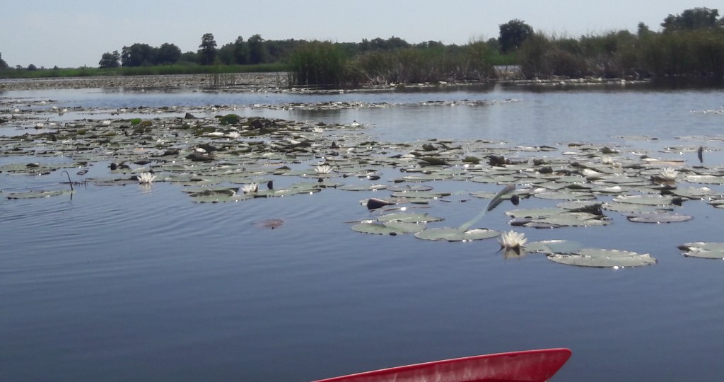 natuurgebied natuurreservaat Kempen wandelen fietsen mountainbiken paardrijden mennen joggen watersporten Benelux 