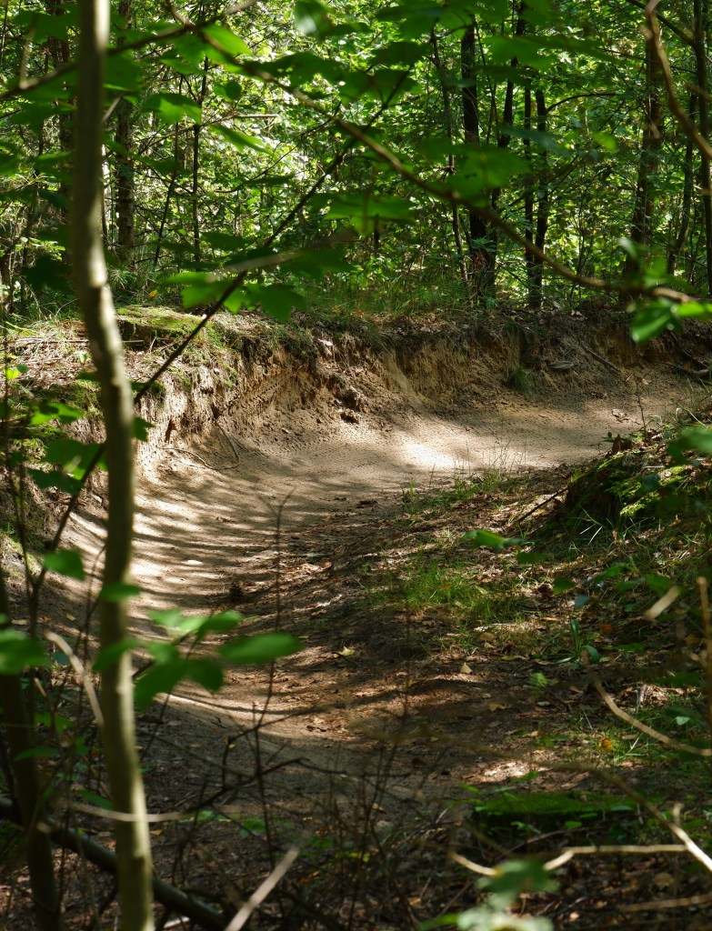 Zwart water Kasterlee wandelen natuurgebied wandeling Kempen Vlaanderen België mountainbiken