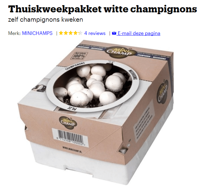 paddenstoelen kweekset 