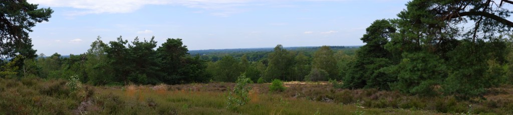 groene wandeling Holten Sallandse Heuvelrug Nederland panorama