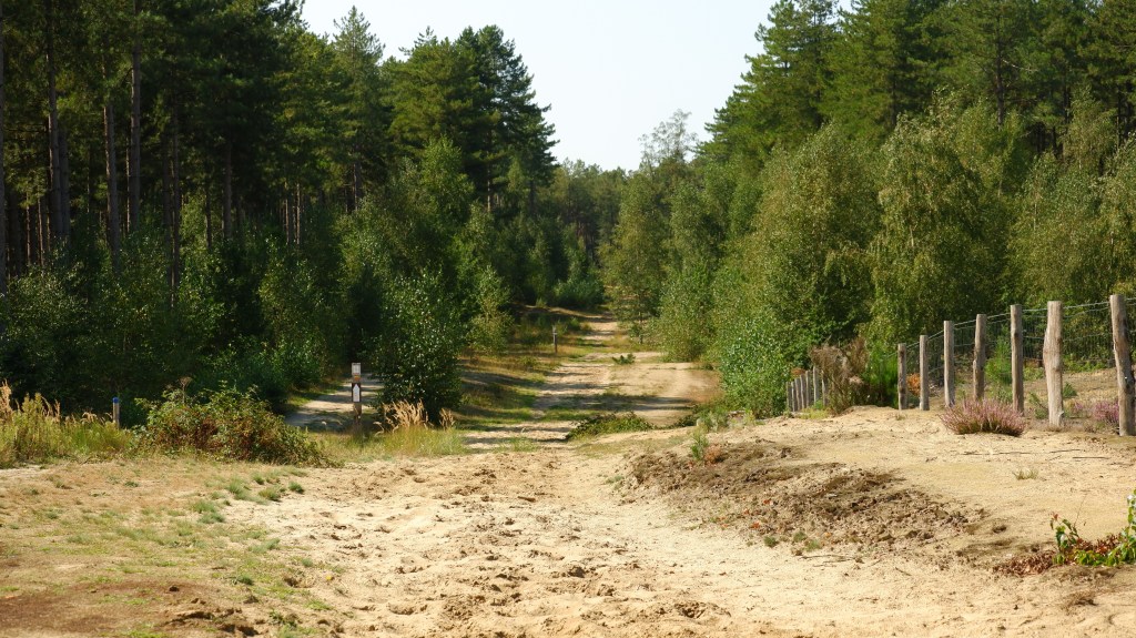 Zwart water Kasterlee wandelen natuurgebied wandeling Kempen Vlaanderen België