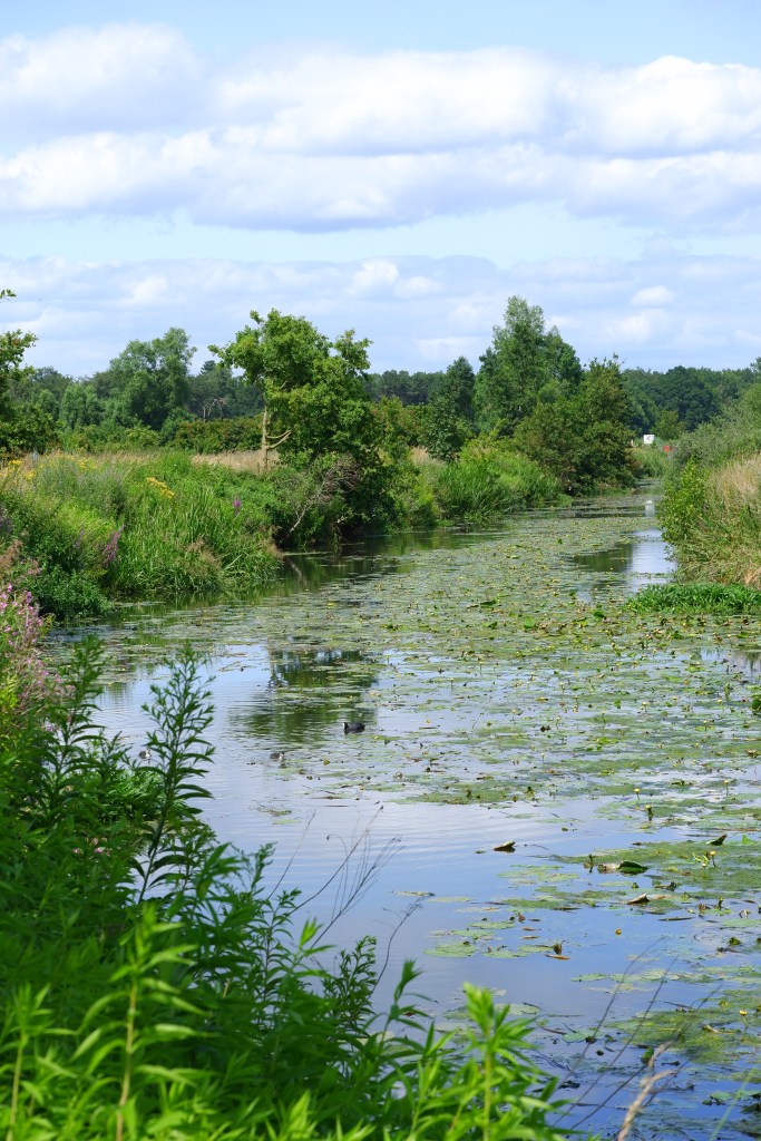 wandeling wandelroute natuurwandeling water markvallei Ashputten