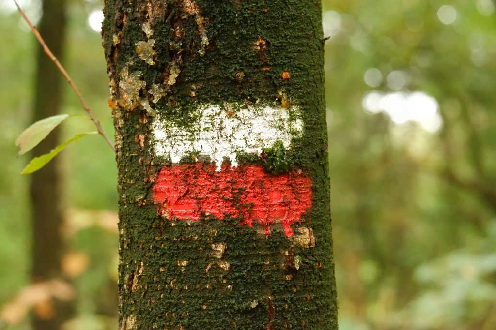 groteroutepaden langeafstandswandeling GR LAW wandelen natuurwandeling lange afstanden wandelen wandelroute