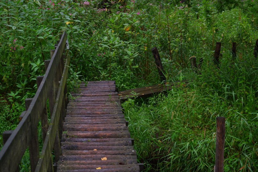 wandeling Natuurpad Lovenhoek Lovenbos Vorselaar wandelroute houten brug