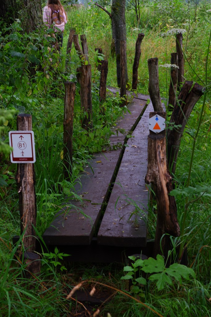 wandeling Natuurpad Lovenhoek Lovenbos Vorselaar wandelroute houten brug