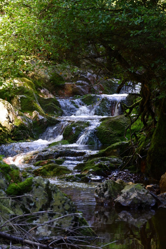 wandeling wandelroute natuurwandeling waterval 