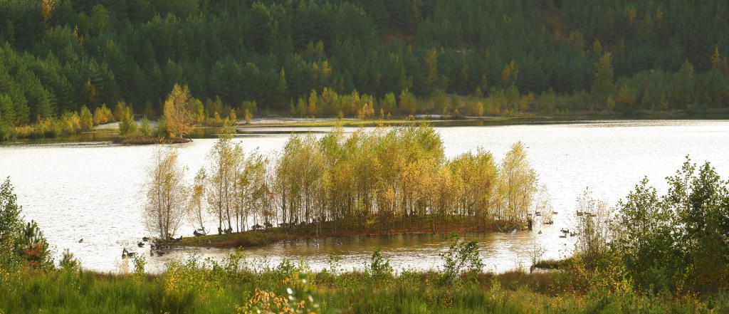 wandelen Limburg België landschap Maasmechelen vallei kikbeekbron prachtige natuur