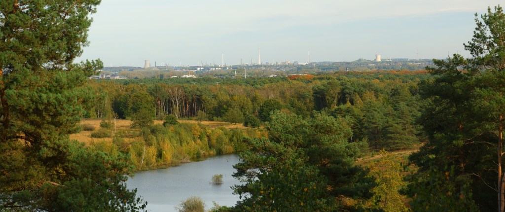 wandelen Limburg België landschap Maasmechelen vallei kikbeekbron prachtige natuur