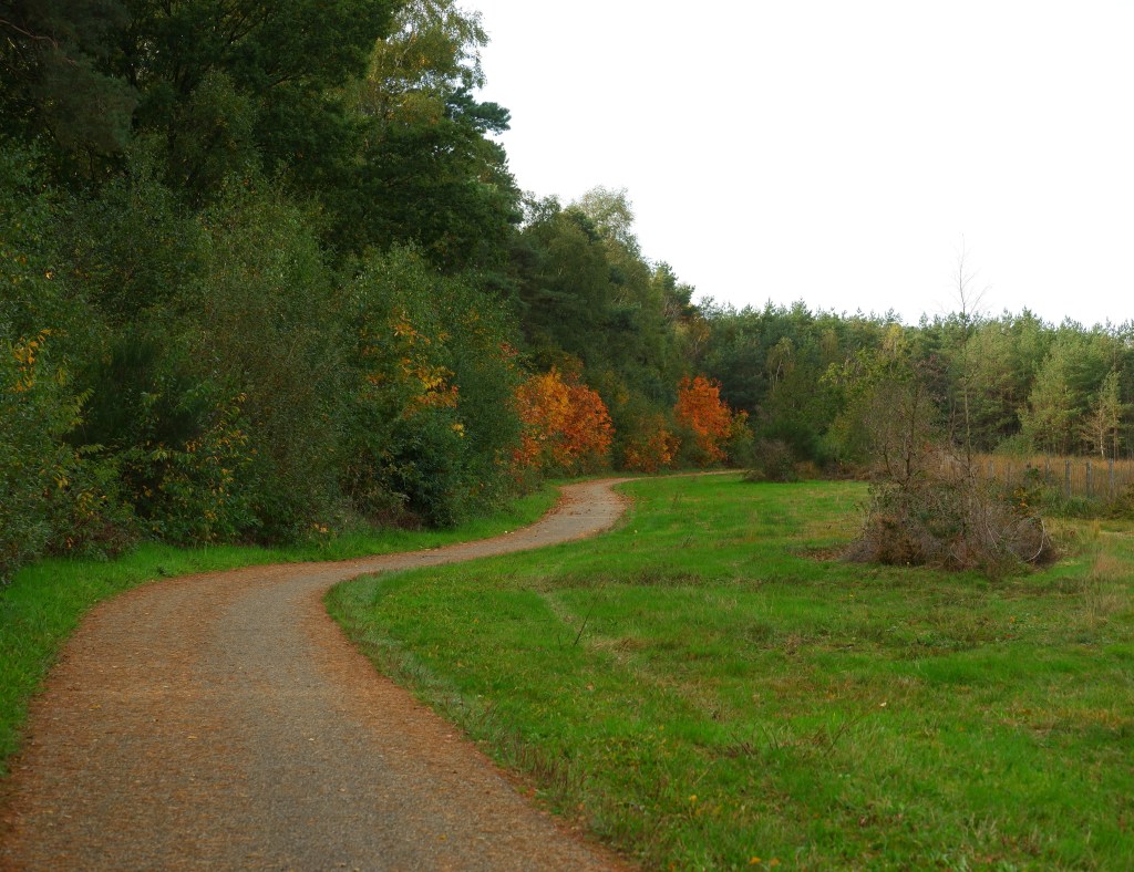 wandelen Limburg België landschap Maasmechelen vallei kikbeekbron prachtige natuur